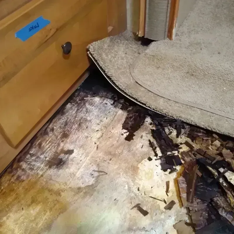 Wood Floor Water Damage in Vinita, OK